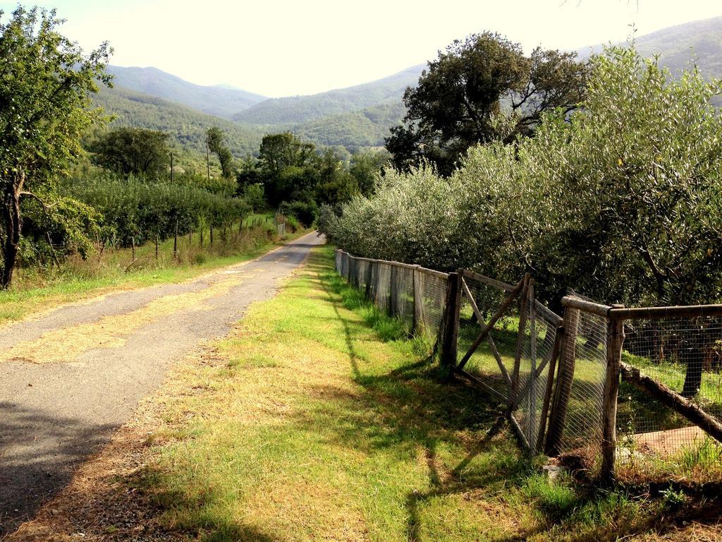 Agriturismo Le Cerinaie Castelnuovo di Val di Cecina Exterior photo