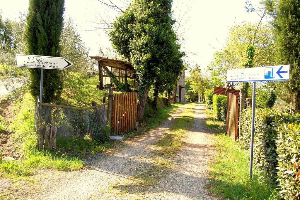 Agriturismo Le Cerinaie Castelnuovo di Val di Cecina Exterior photo